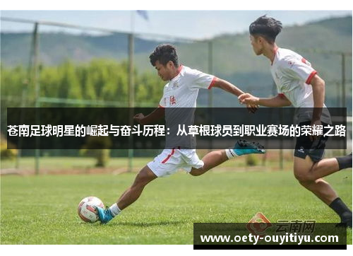 苍南足球明星的崛起与奋斗历程：从草根球员到职业赛场的荣耀之路